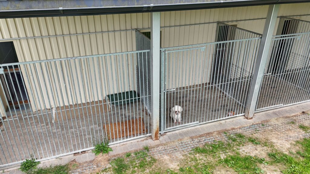 IMG-20260531-WA0061